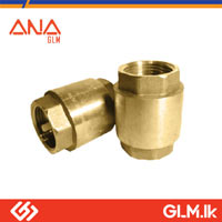 ANA CHECK NON RETURN VALVE SPRING TYPE  4